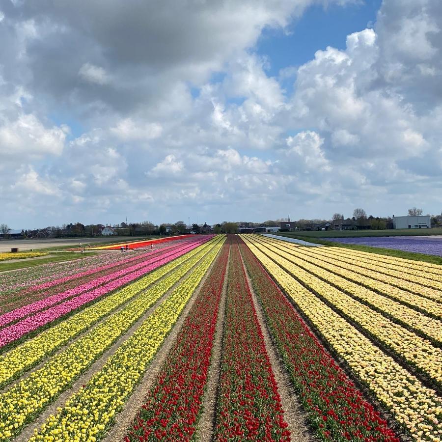 Emma Lodge Zandvoort Luaran gambar